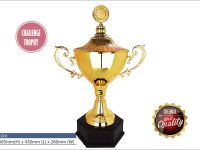 Exclusive Gold Trophy WS6112