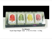 Acrylic Embedment Gift