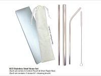 Stainless Steel Straw Set with Pouch