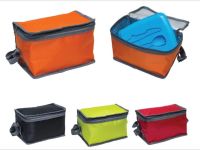Cooler / Warmer Bag MB04