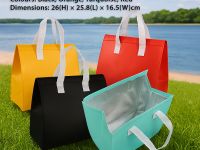 Insulated Cooler Bag