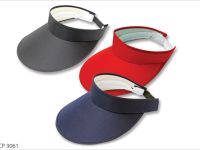 Sun Visor