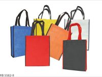 Non-Woven Bag WB5582-ii