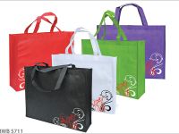 Large Non-Woven Bag BWB5711
