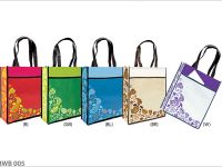 Non-Woven Bag BWB005