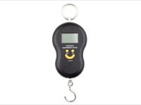 Portable Electronic Scale ES50