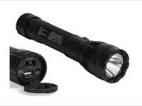 Torchlight with Jump Start Kit