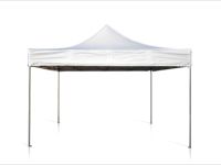 Canopy Tent Rental