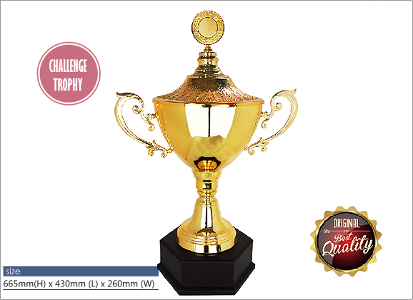 Exclusive Gold Trophy WS6112