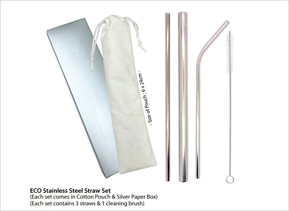 Eco Stainless Steel Straw Set with Pouch