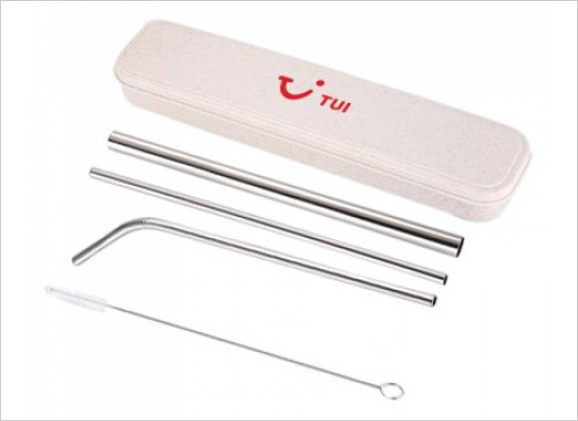 ECO Stainless Steel Straw with Wheat Box EP302