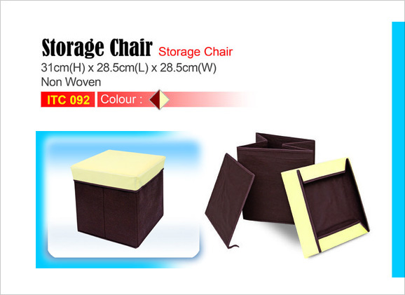 Storage Chair