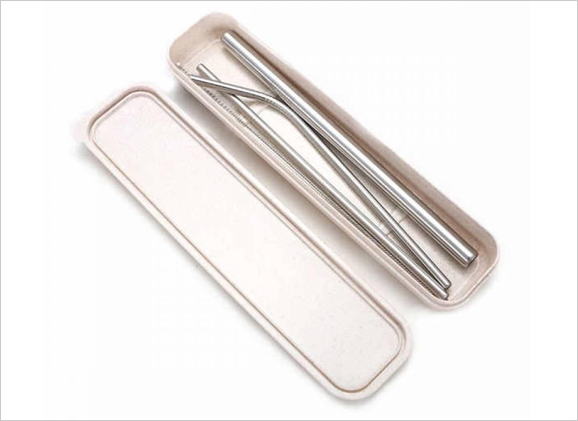 ECO Stainless Steel Straw with Wheat Box Insert